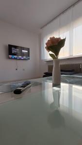 a vase with a flower sitting on a table at Apartment Linda in Tuttlingen