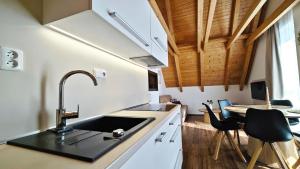 Kuchyň nebo kuchyňský kout v ubytování Apartmán NIKI Apollon Resort Lednice