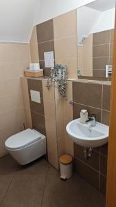 Koupelna v ubytování Apartmán NIKI Apollon Resort Lednice