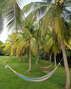 Garður fyrir utan Couleur Caraïbes-Ti rêve appartement vue mer pierre&vacances