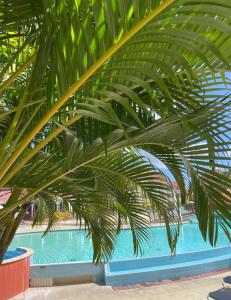 Sundlaugin á Couleur Caraïbes-Ti rêve appartement vue mer pierre&vacances eða í nágrenninu