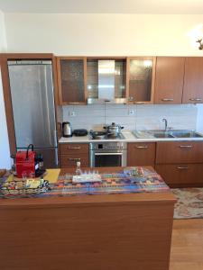 Kuchyň nebo kuchyňský kout v ubytování Unlimited view - elegant apt 59 m2 w 37 m2 balc w prk