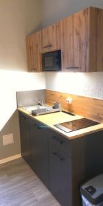 a kitchen with a stove and a microwave at Pension am Pollingpark Haus II in Dessau +92 photos