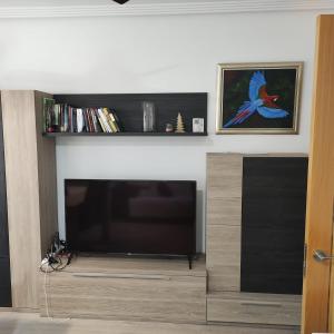 Knihovna v apartmánu