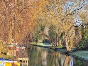a river with trees and a boat in the water at The Nook in Great Cornard +4 photos