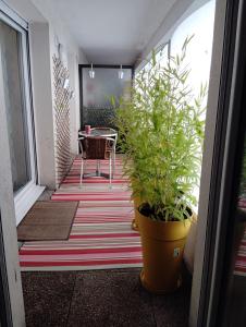 a patio with a table and a potted plant at Charmant appartement 2 chambres - Proche Tours in Joue-les-Tours