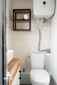 Koupelna v ubytování Tinyhouse Horssen