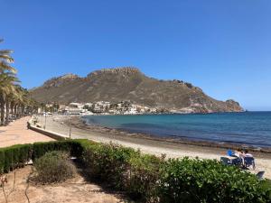 a beach with palm trees and the ocean and a mountain at Casa Del Mar in Calabardina