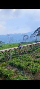 Fotografie z fotogalerie ubytování Glamping umi v destinaci Pengalongan