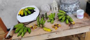 un mazzo di banane verdi e gialle su un tavolo di Camping Cítara a Parati