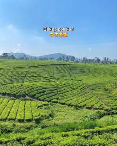 Foto dalla galleria di Penginapan segitiga a Bandung