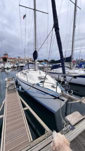 a dog is standing next to a boat at a dock at Slowlife in Lisbon