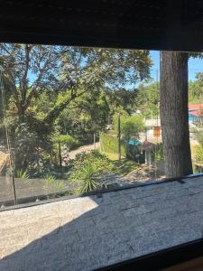 a window view of a park with a tree at Paraíso na mata in Cotia +6 photos
