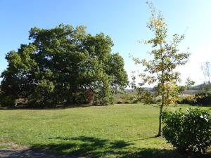 Vonkajšia záhrada v ubytovaní La Bastide du Chêne