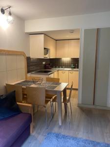 Kuchyň nebo kuchyňský kout v ubytování Havre de paix à Flaine