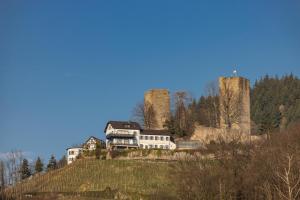 un tren en una colina frente a un castillo en Hochkopf Suite - Premium Apartment - Schwarzwald, en Bühl