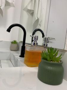 a kitchen sink with two faucets and a plant at Apartamento semi-Novo Litoral Itajaí Sc in Itajaí