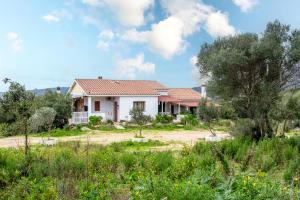 Zahrada ubytování Locanda Domus De Vida