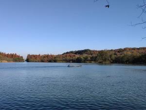 a boat in the middle of a lake at Yurong West Lake Cottage Resort Hotel Hangzhou in Hangzhou