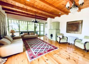 a living room with a couch and a fireplace at TerraVino Retreat at Lake Balaton in Balatonlelle