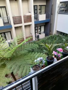 O grădină în afara Cosy Urban Park Accommodation K005 +21 fotografii