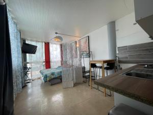 Eldhús eða eldhúskrókur á PENTHOUSE SEASIDE 10 MIN port, croisière et aéroport