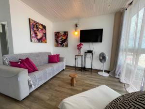 Televiisor ja/või meelelahutuskeskus majutusasutuses PENTHOUSE 10 MIN port croisière et aéroport