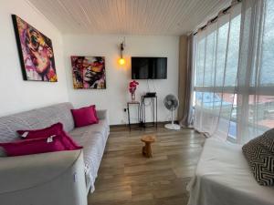 Televiisor ja/või meelelahutuskeskus majutusasutuses PENTHOUSE 10 MIN port croisière et aéroport