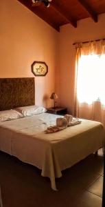 a bedroom with a large bed with a window at Aparts Tatiana Merlo San Luis in Merlo
