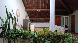 Κήπος έξω από το Ben House