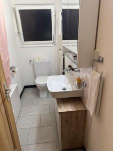 a bathroom with a toilet and a sink and a window at Bellevue Apartment in Krattigen