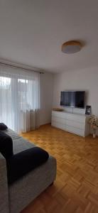 TV a/nebo společenská místnost v ubytování Noria - Apartment Europa-Park, Golf Club & Freiburg