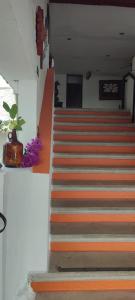 Foto da galeria de Hotel Coral em Cancún