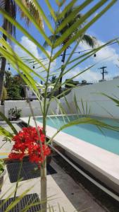 A piscina localizada em Hotel Coral ou nos arredores