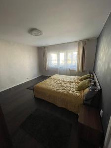 a bedroom with a bed and a window at Newly renovated chic apartment close to downtown in Satu Mare