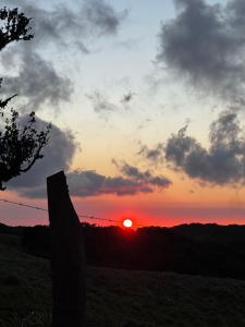 モンテベルデ・コスタリカにあるDadirri Cozy House Santa Elena Monteverdeの有刺鉄線塀付きの畑の夕日