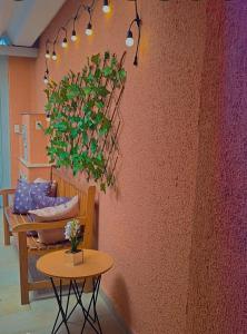 a table with a plant hanging from a wall at Le house hostel in São Paulo