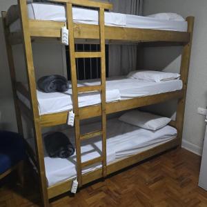 a couple of bunk beds with a dog laying on them at Le house hostel in São Paulo