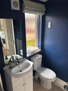 a bathroom with a toilet and a sink and a mirror at Gressingham 9 - South Lakes Leisure Village - lodge on the lake in Carnforth +21 photos
