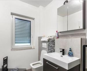a bathroom with a sink and a toilet and a window at Bibernestli in Tengen