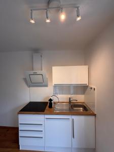 Kuchyň nebo kuchyňský kout v ubytování Cozy Apartment with Garden in Graz Free Parking