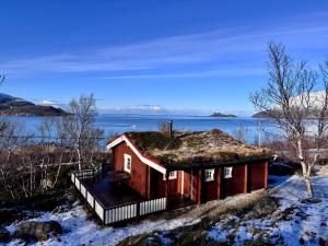 a small house with grass on the roof in the snow at Aurora cabin Tromvik in Tromsø