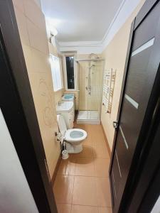 a small bathroom with a toilet and a shower at Cozy apartament in Iaşi