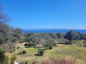 Un campo con árboles y el océano al fondo. en Maison accès direct plage corse du sud, en Coti-Chiavari