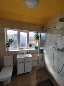 a bathroom with a sink and a shower and a toilet at We love Henbury in Bristol +23 photos