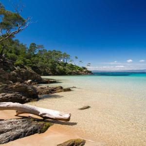 a beach with a log on the sand and the water at Maison 3 chambres avec jardin et spa in Les Arcs sur Argens