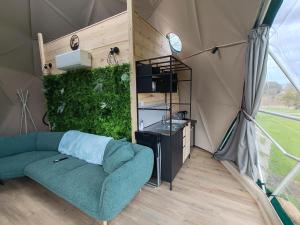 Little River Glamping的休息区