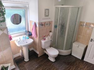 a bathroom with a toilet and a shower and a sink at Modern Oasis , Edinburgh Airport near,8mi in Rosyth +24 photos