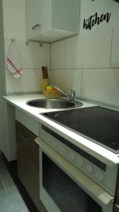 Η κουζίνα ή μικρή κουζίνα στο Ferienwohnung - modernes Heim Li-Apartments +31 φωτογραφίες