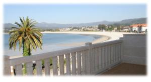 a balcony with a palm tree and a beach at Apartamentos Ría de Bayona in Baiona